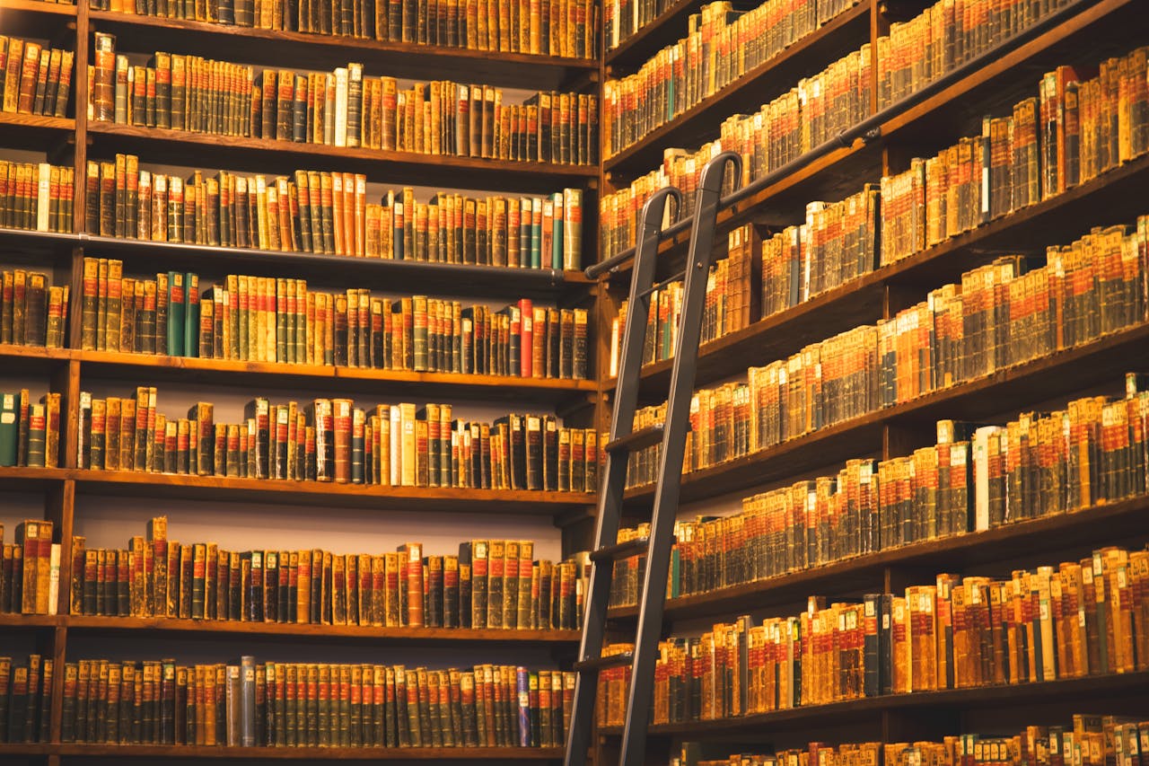A cozy library corner with tall wooden bookshelves and a movable ladder.